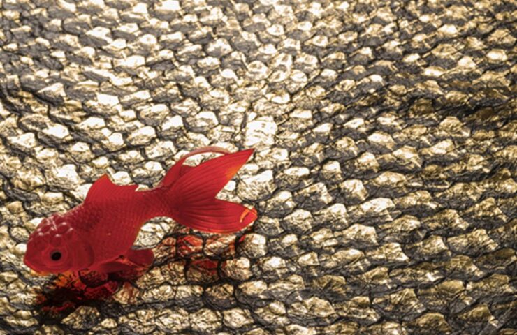 01-cuoium-pelle-di-pesce