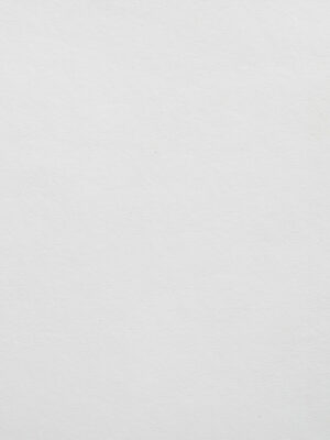 Cuoio crosta - Col. 01 Bianco ottico