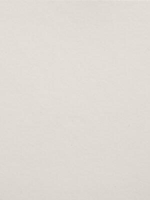 Cuoio crosta - Col. 02 Bianco latte