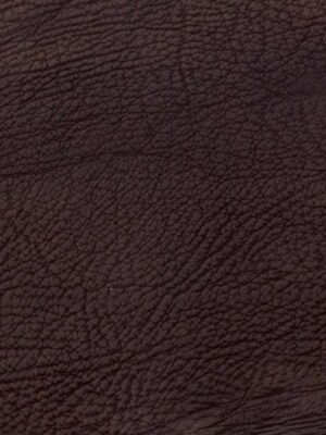 Squalo vero - Col. 02