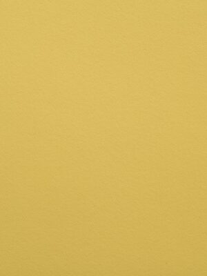 Cuoio crosta - Col. 13 Giallo