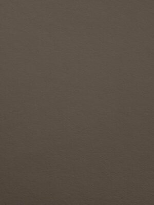 Cuoio crosta - Col. 20 Oliva