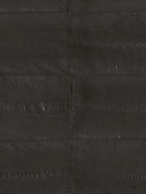 Anguilla vera - Col. Dark grey