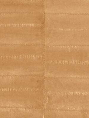 Anguilla vera - Col. Light beige