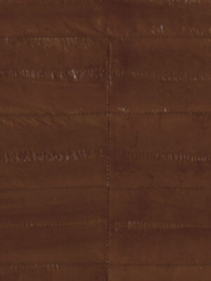 Anguilla vera - Col. Light brown