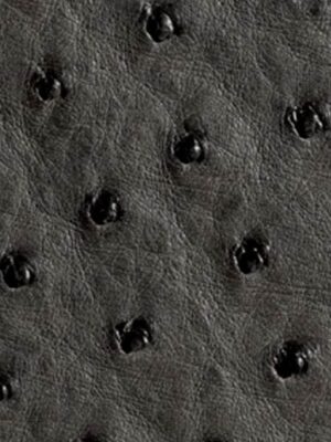 Struzzo naturale - Col. Antracite