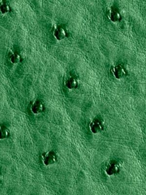 Struzzo naturale - Col. Apple green