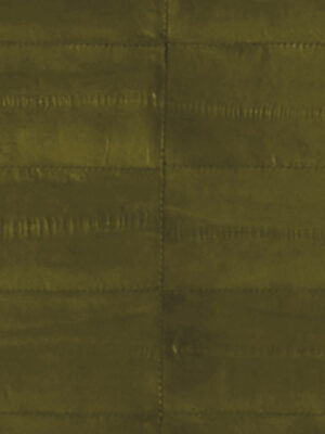 Anguilla vera - Col. Army