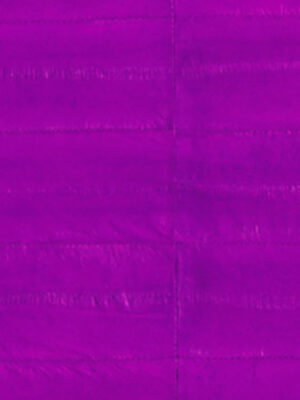 Anguilla vera - Col. Azelia