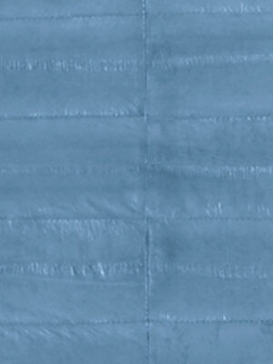 Anguilla vera - Col. Baby blue