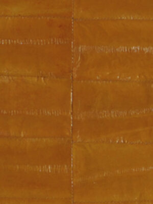 Anguilla vera - Col. Beige