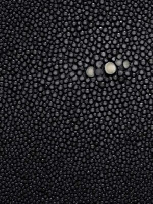 Stingray - Black