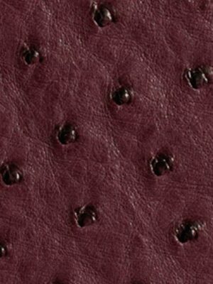 Struzzo naturale - Col. Bordeaux