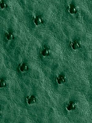 Struzzo naturale - Col. Brilliant green