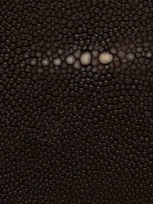 Stingray - Brown