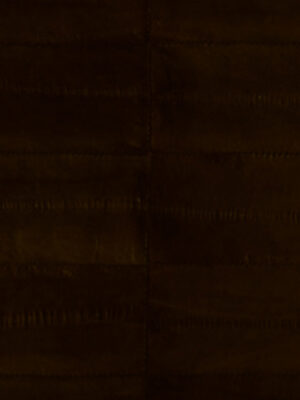 Anguilla vera - Col. Brown