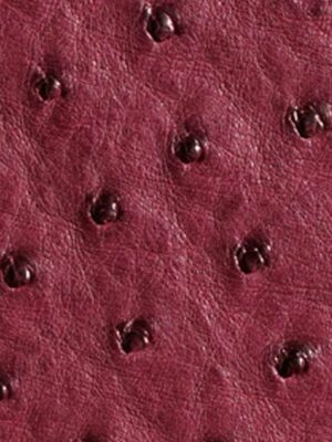 Struzzo naturale - Col. Campari