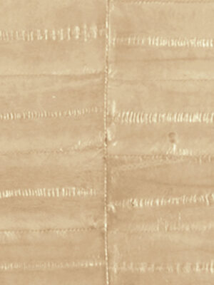 Anguilla vera - Col. Chalk white