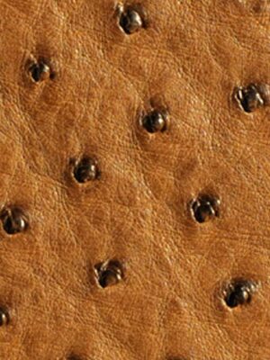 Struzzo naturale - Col. Chestnut