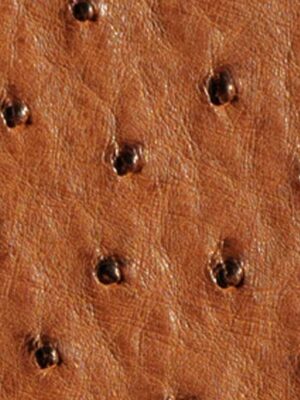 Struzzo naturale - Col. Cognac