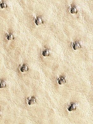 Struzzo naturale - Col. Cream