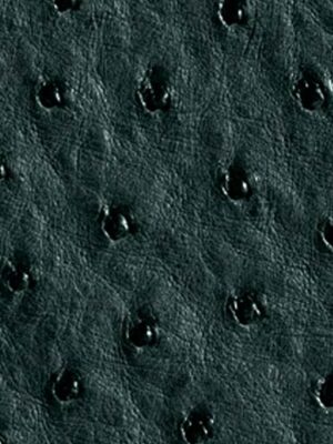 Struzzo naturale - Col. Cyprus