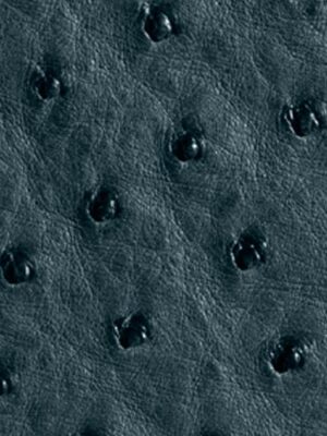 Struzzo naturale - Col. Denim