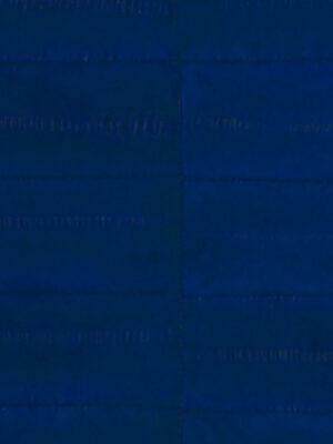 Anguilla vera - Col. Electric blue