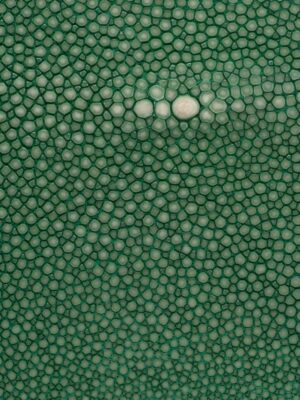 Stingray - Emerald