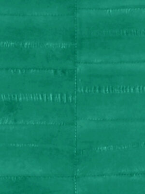 Anguilla vera - Col. Emerald