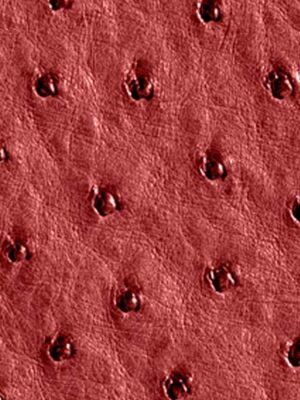 Struzzo naturale - Col. Flame red