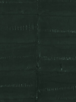 Anguilla vera - Col. Forest green