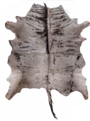 Gnu intero - Pelli esotiche