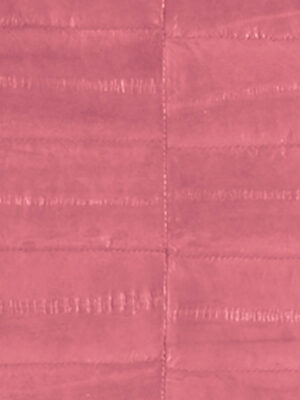 Anguilla vera - Col. Indian pink