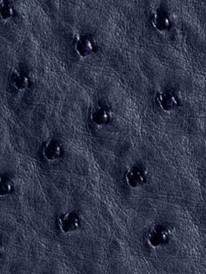 Struzzo naturale - Col. Iris blue