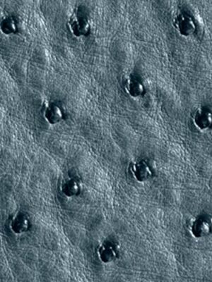 Struzzo naturale - Col. Jeans