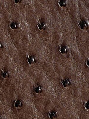 Struzzo naturale - Col. Kango tabac