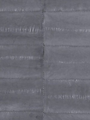 Anguilla vera - Col. Lavender