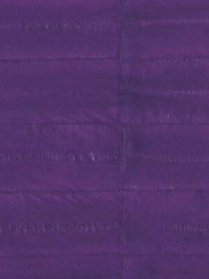 Anguilla vera - Col. Lilac