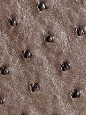 Struzzo naturale - Col. Mink