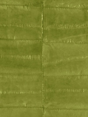 Anguilla vera - Col. Mint sorbet