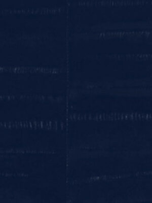 Anguilla vera - Col. Navy blue