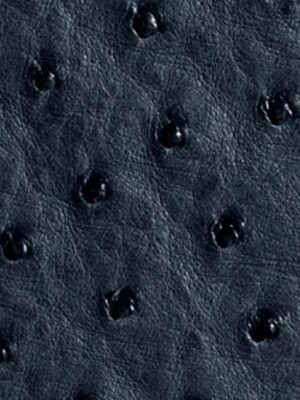 Struzzo naturale - Col. Navy