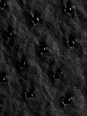 Struzzo naturale - Col. Nero