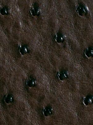 Struzzo naturale - Col. Nicotine