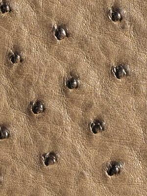 Struzzo naturale - Col. Orix