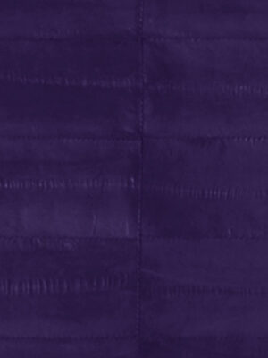 Anguilla vera - Col. Purple