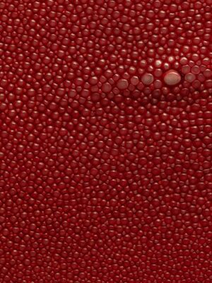 Stingray - Red