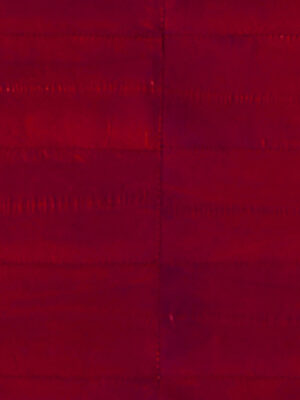 Anguilla vera - Col. Red