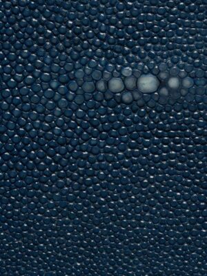 Stingray - Royal blue